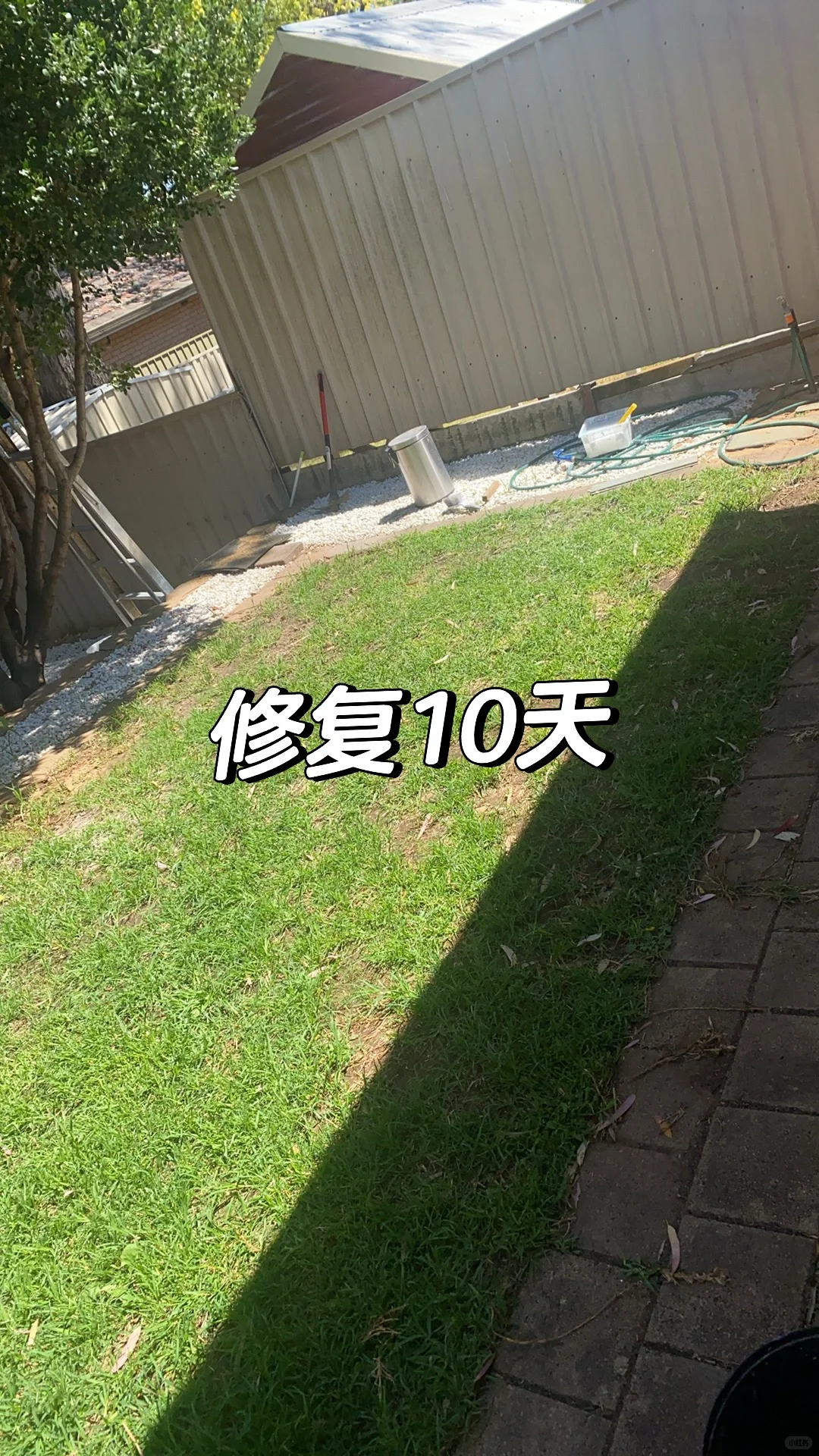 草坪“斑秃”怎么治?