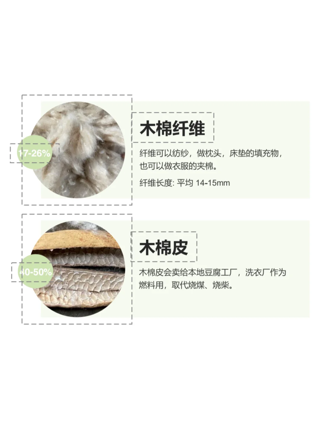 再生小课堂|长在树上的羊绒·木棉纤维