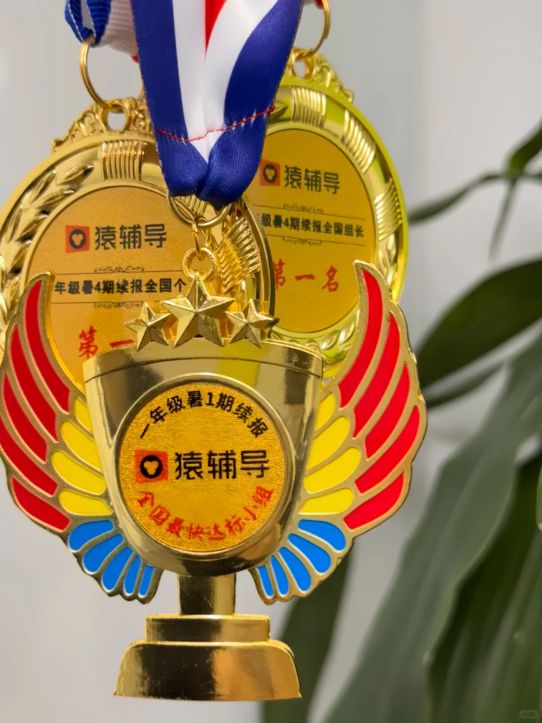 在猿司以赚钱为主开启下半年啦~