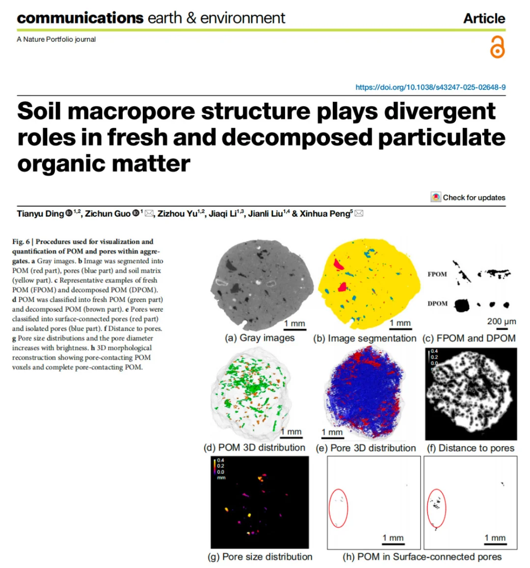土壤孔隙如何扮演碳“加速器”与“稳定器”