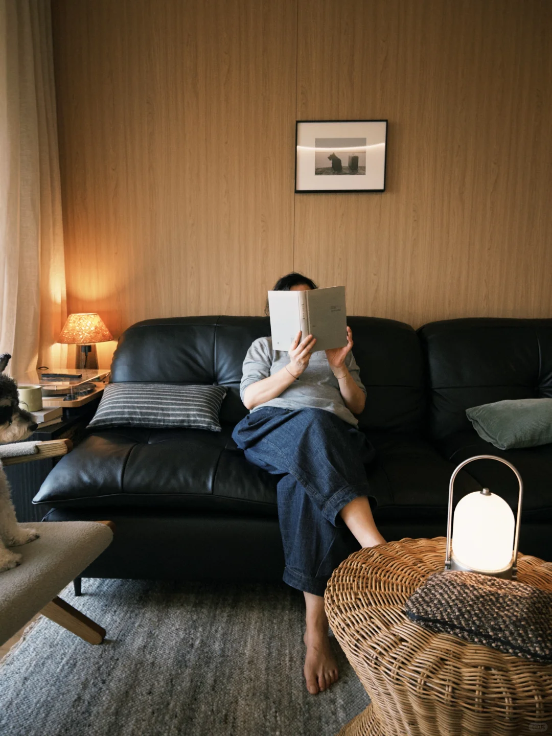 75平小家,这样布置很舒服