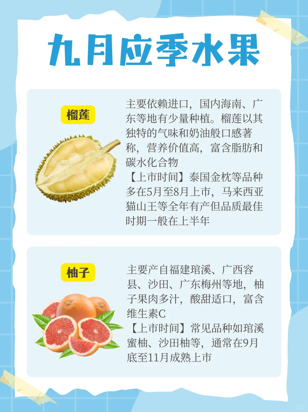 九月应季水果?来啦！