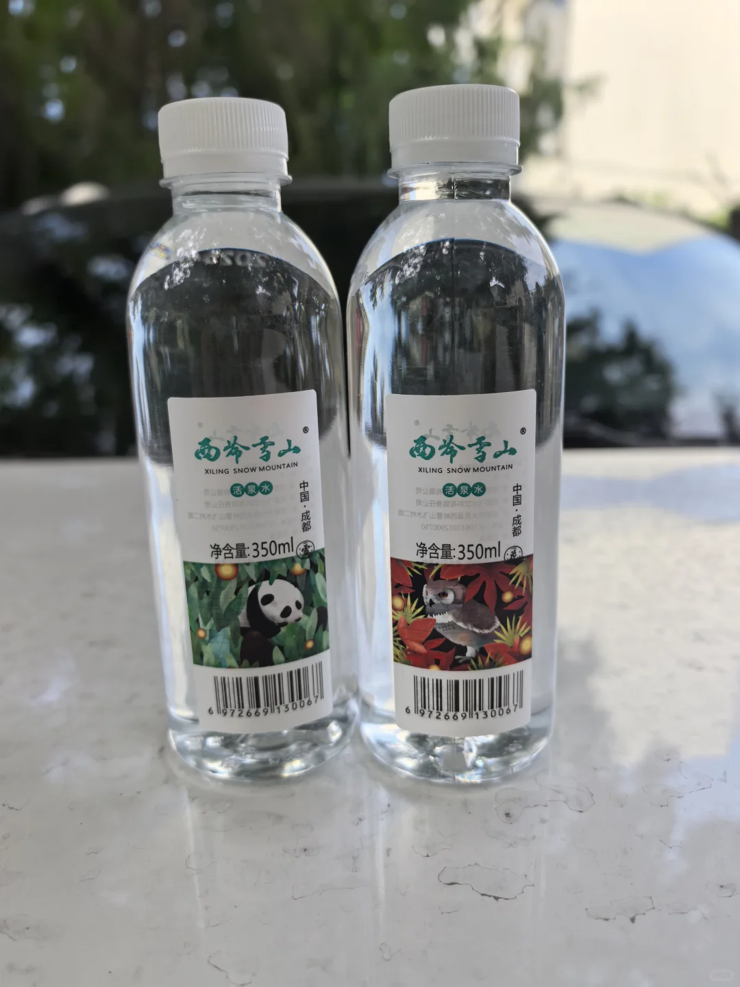 大熊猫山泉水来了！快抢！