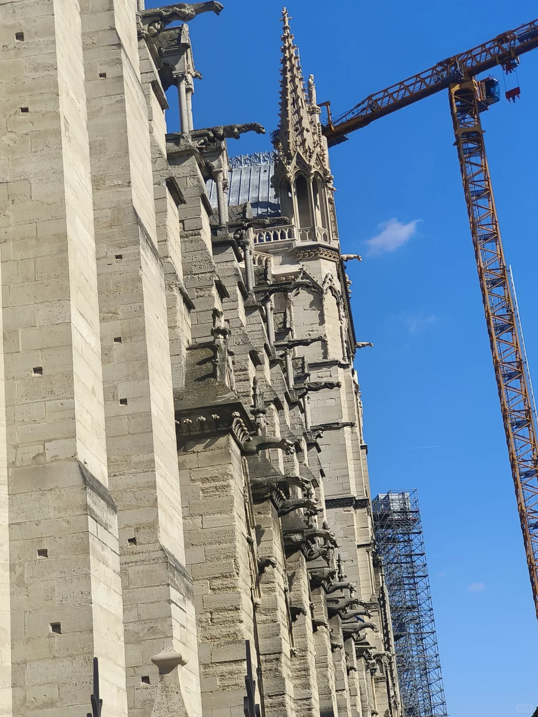 法国巴黎圣母院-玻璃花窗与光下的故事