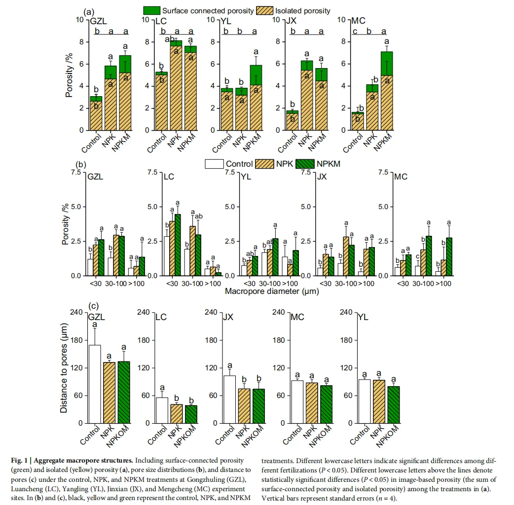 土壤孔隙如何扮演碳“加速器”与“稳定器”