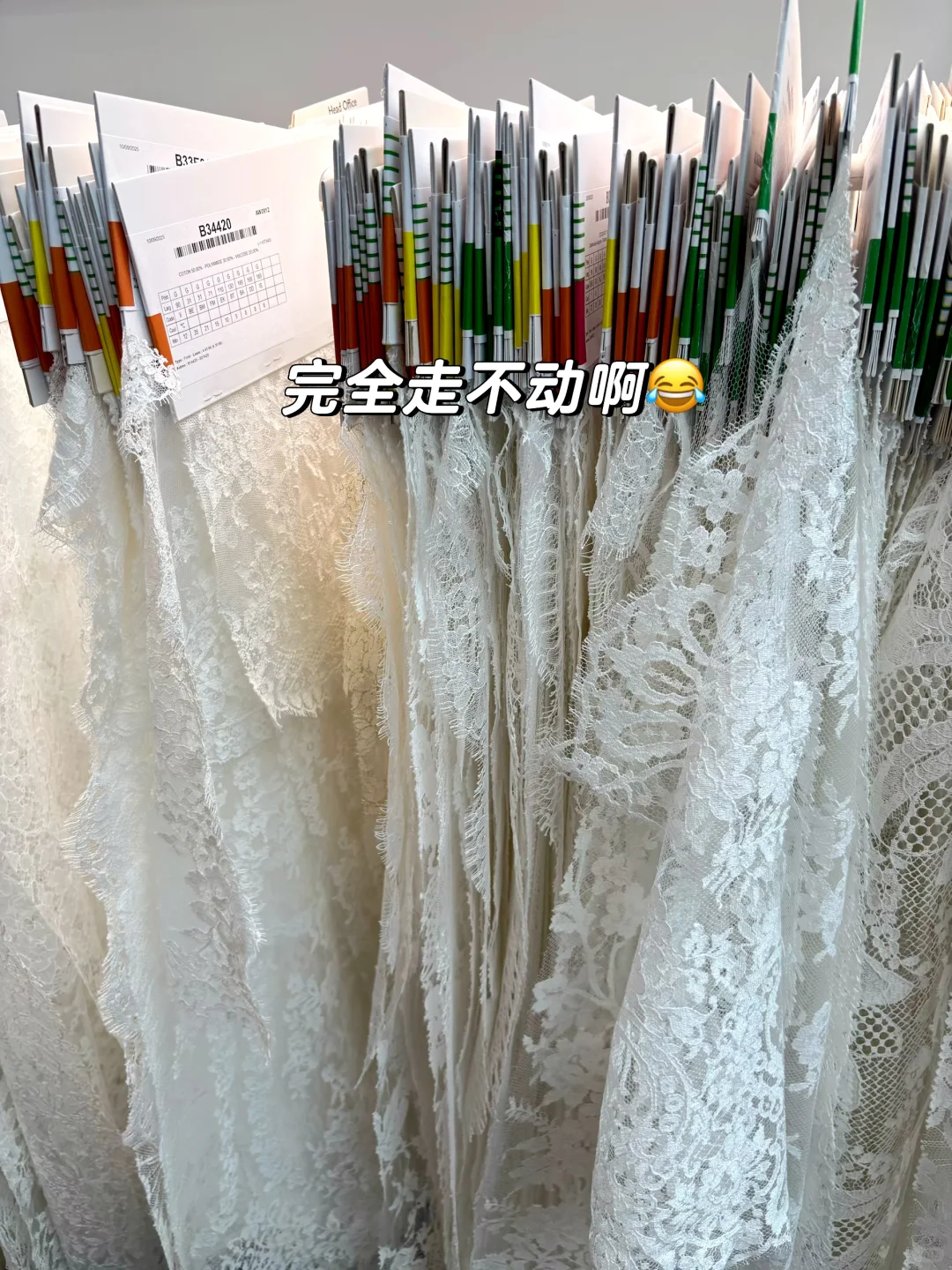 ✨ Solstiss | 法国顶级蕾丝的惊喜相遇