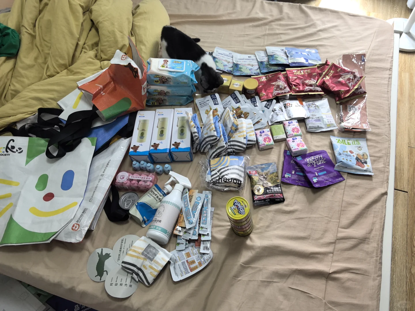 分享一下,参加了两场杭州的宠物博览会体验