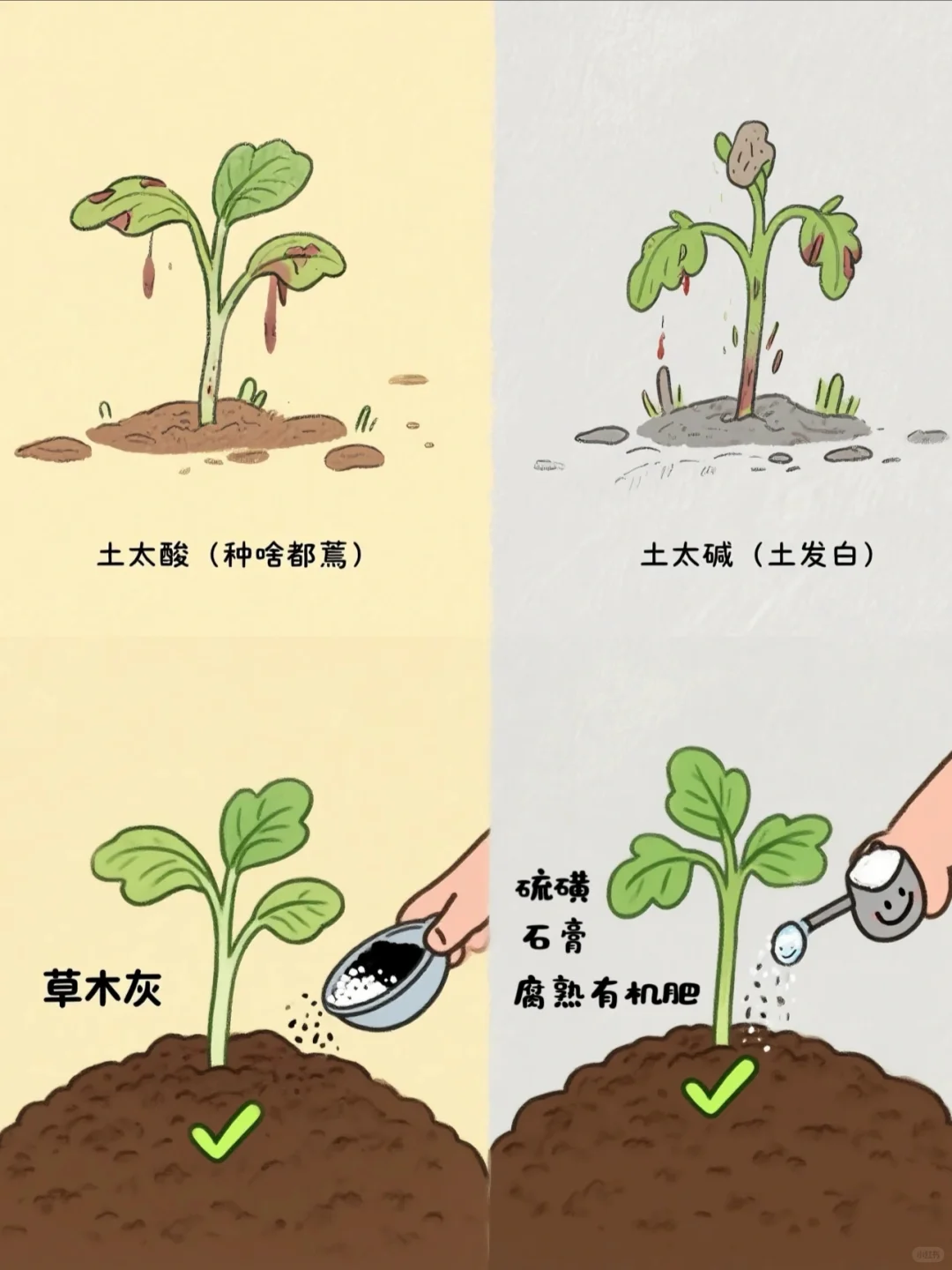 三招教你改土(小白易上手,建议收藏)