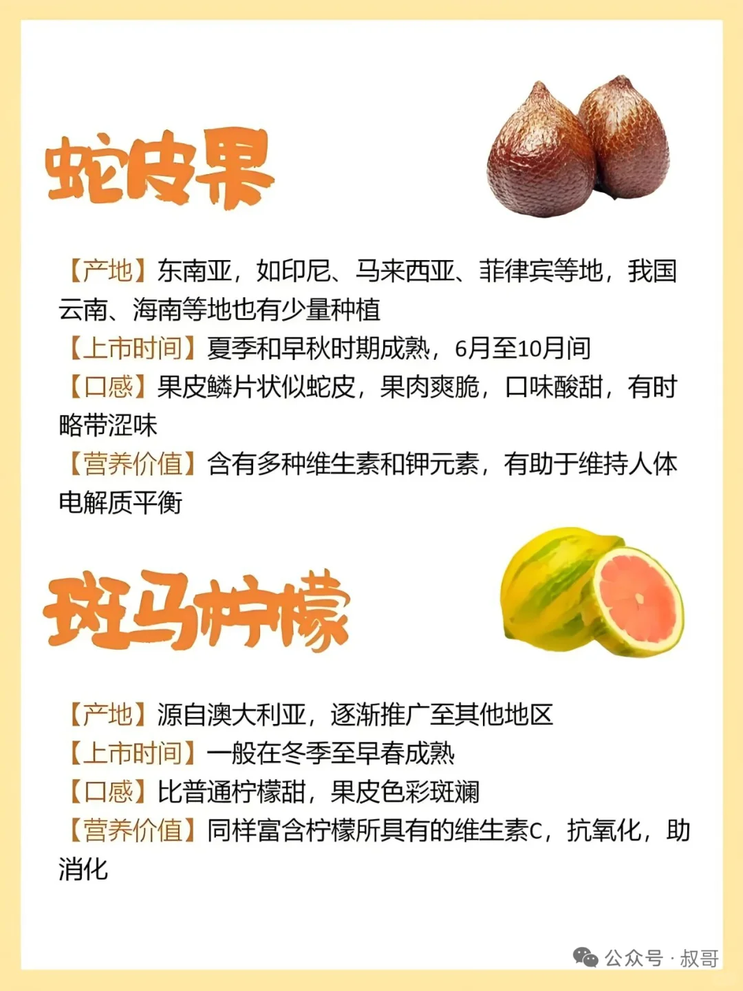 存在感不强的小众水果介绍~~