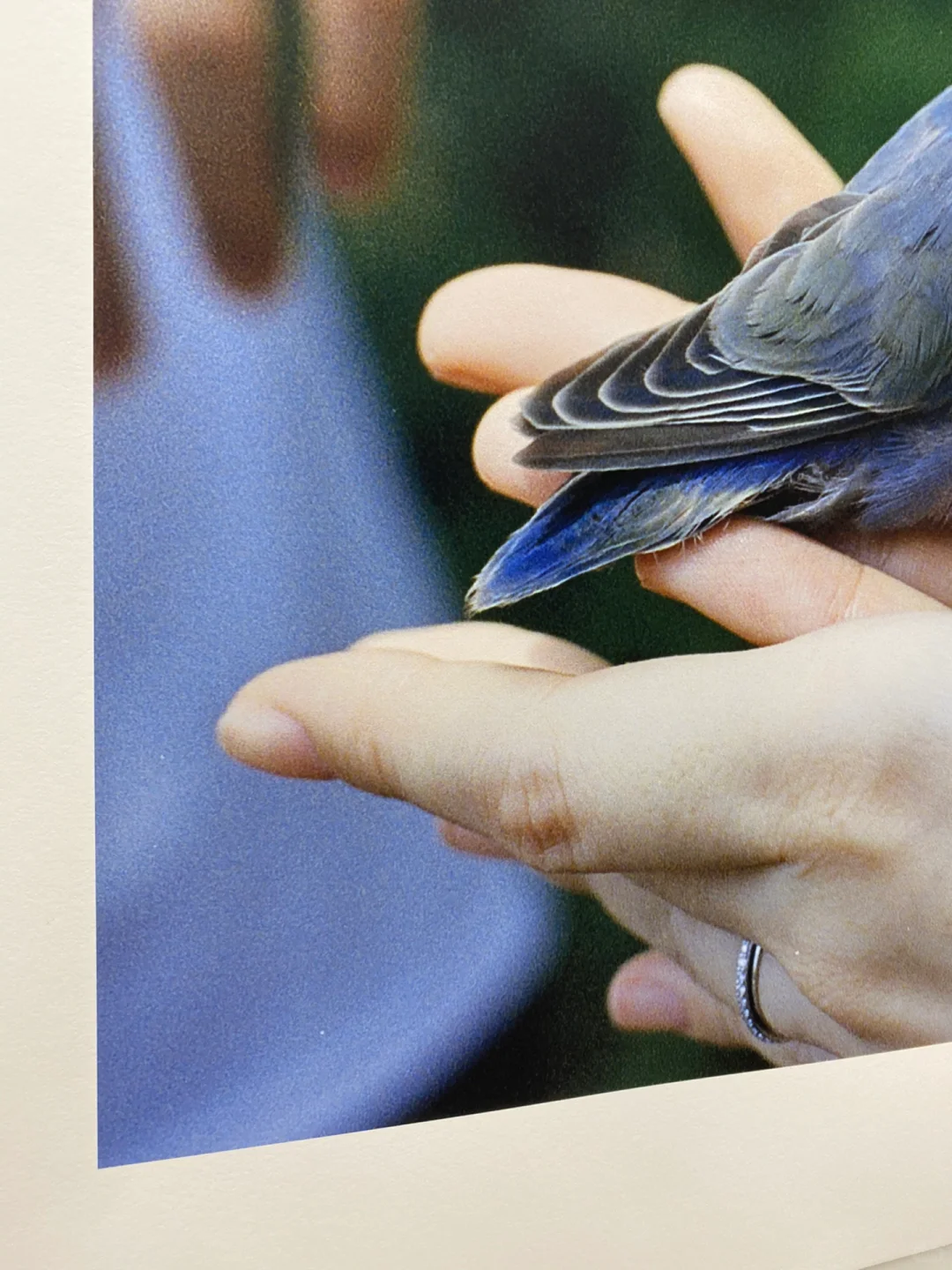 学校的喷墨印刷yyds