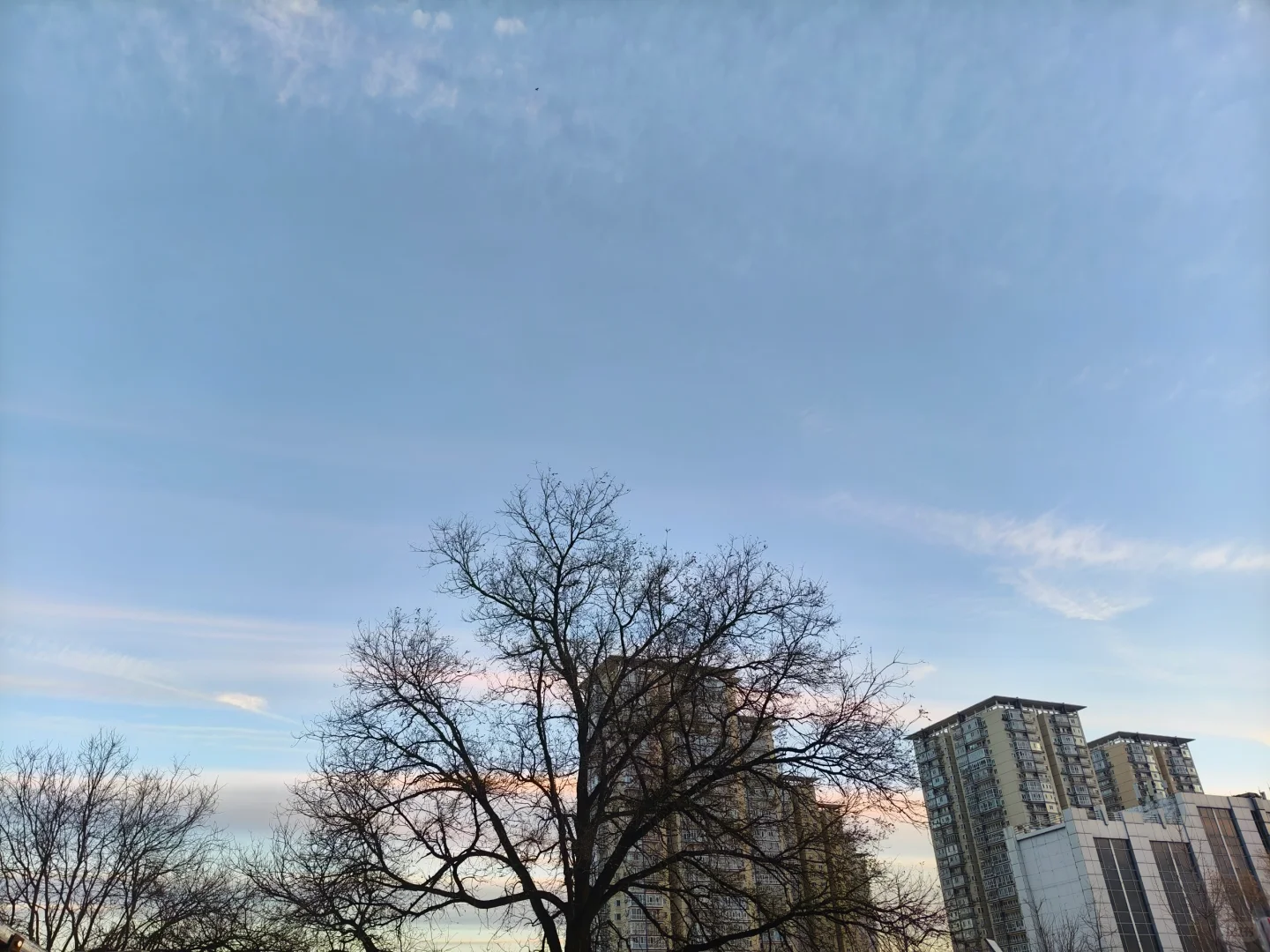 面试送不锈钢铁盆