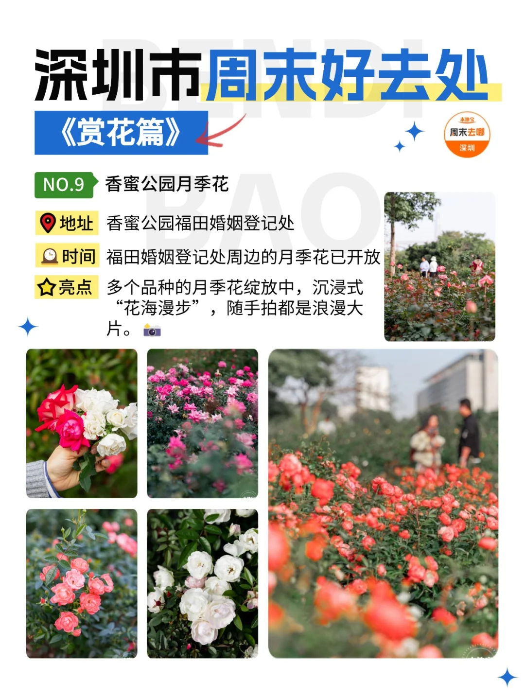 深圳这个周末能做的24件事‼️好多免费