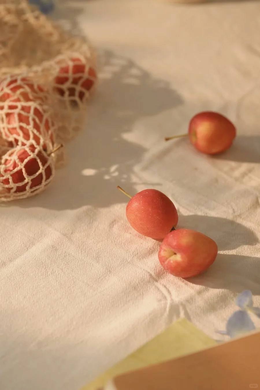 静物摄影|阳光下的静物（附布景）