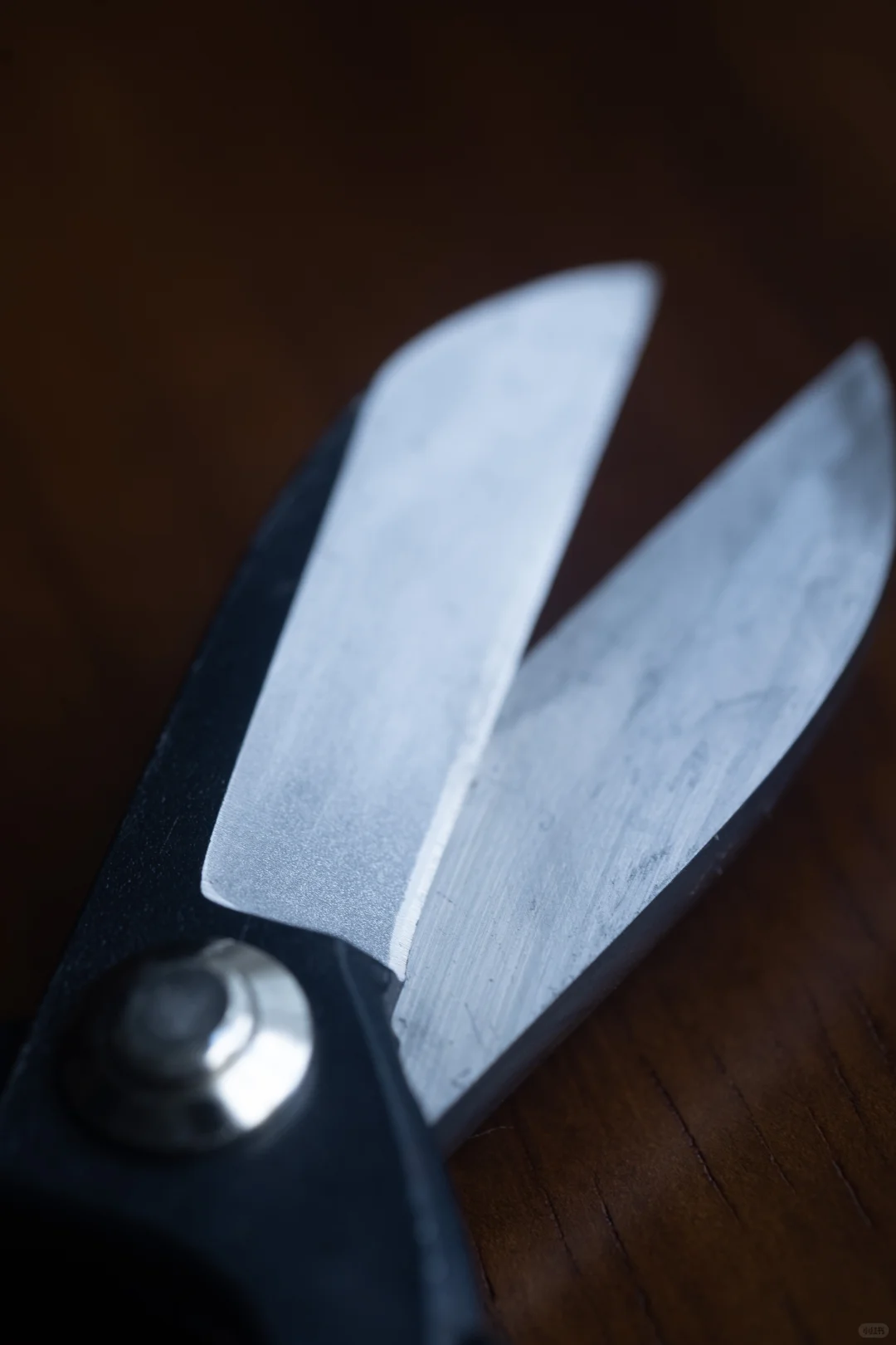 插花必备!拯救你的黑剪刀!