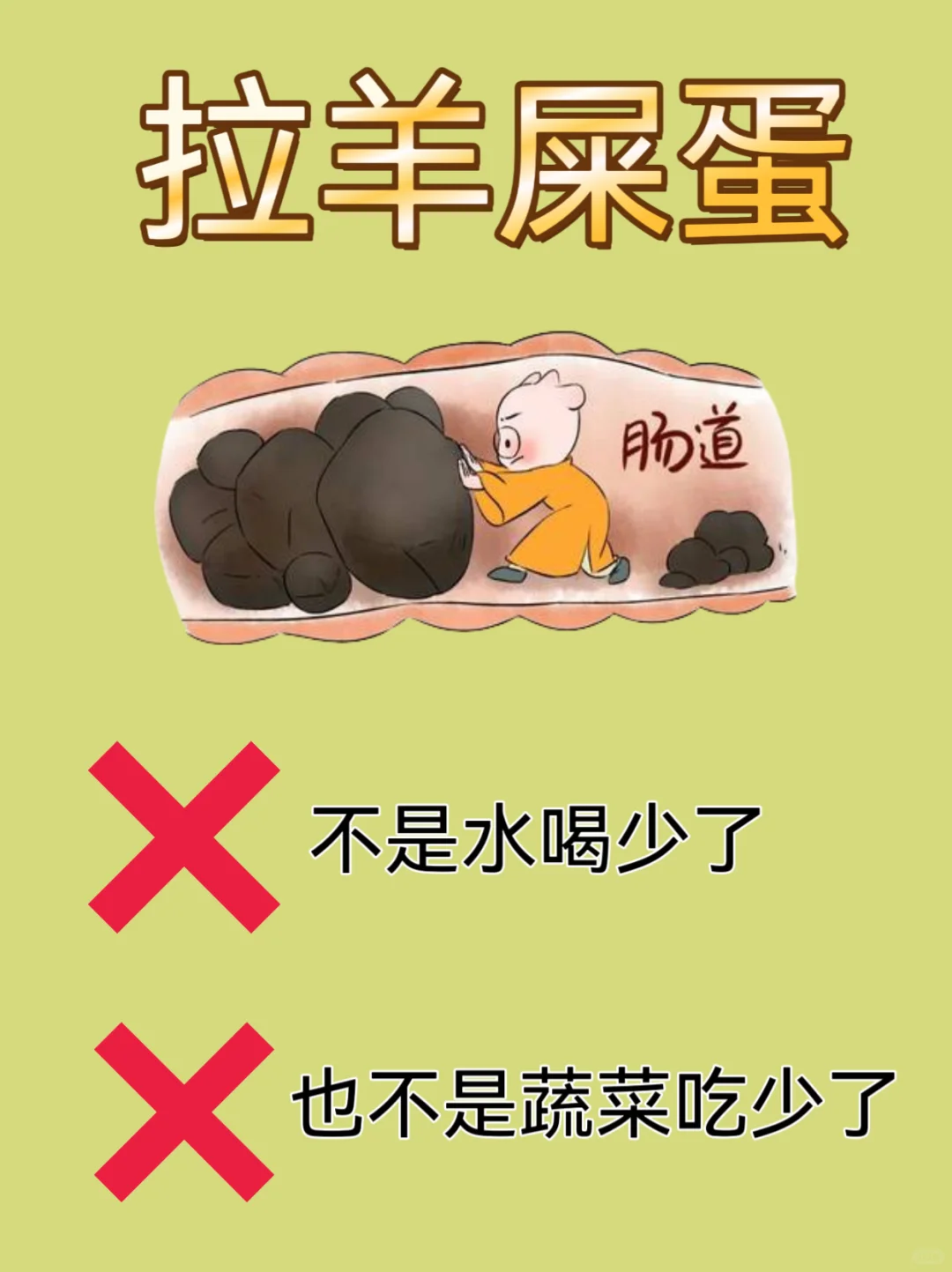 孩子羊屎蛋,终于找到解决办法啦!