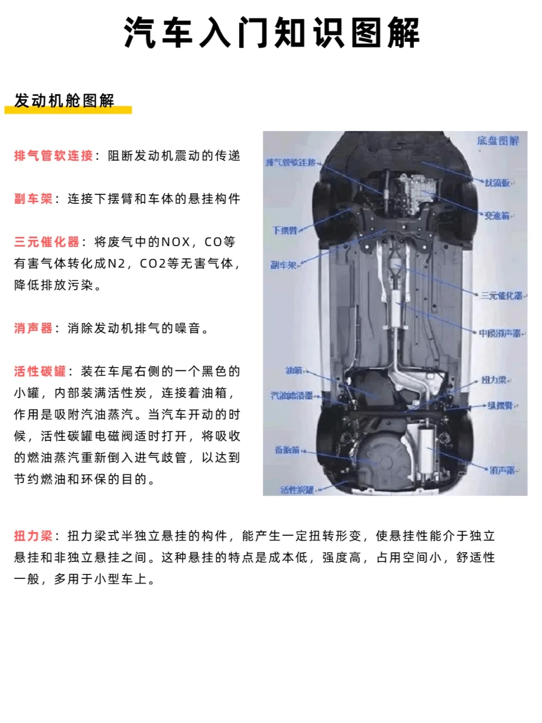 汽车入门知识-发动机舱图解