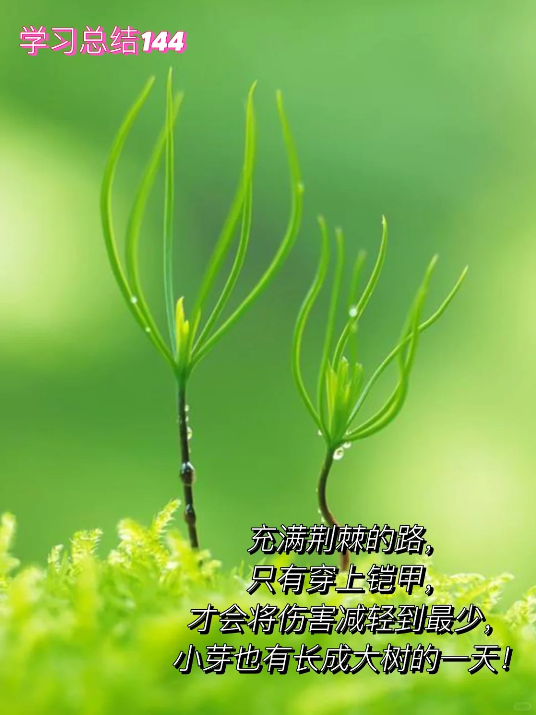 驱动阀门与自动阀门分类