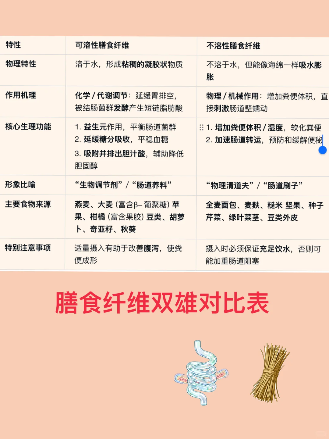 秒懂“可溶”与“不可溶”膳食纤维的天壤之别