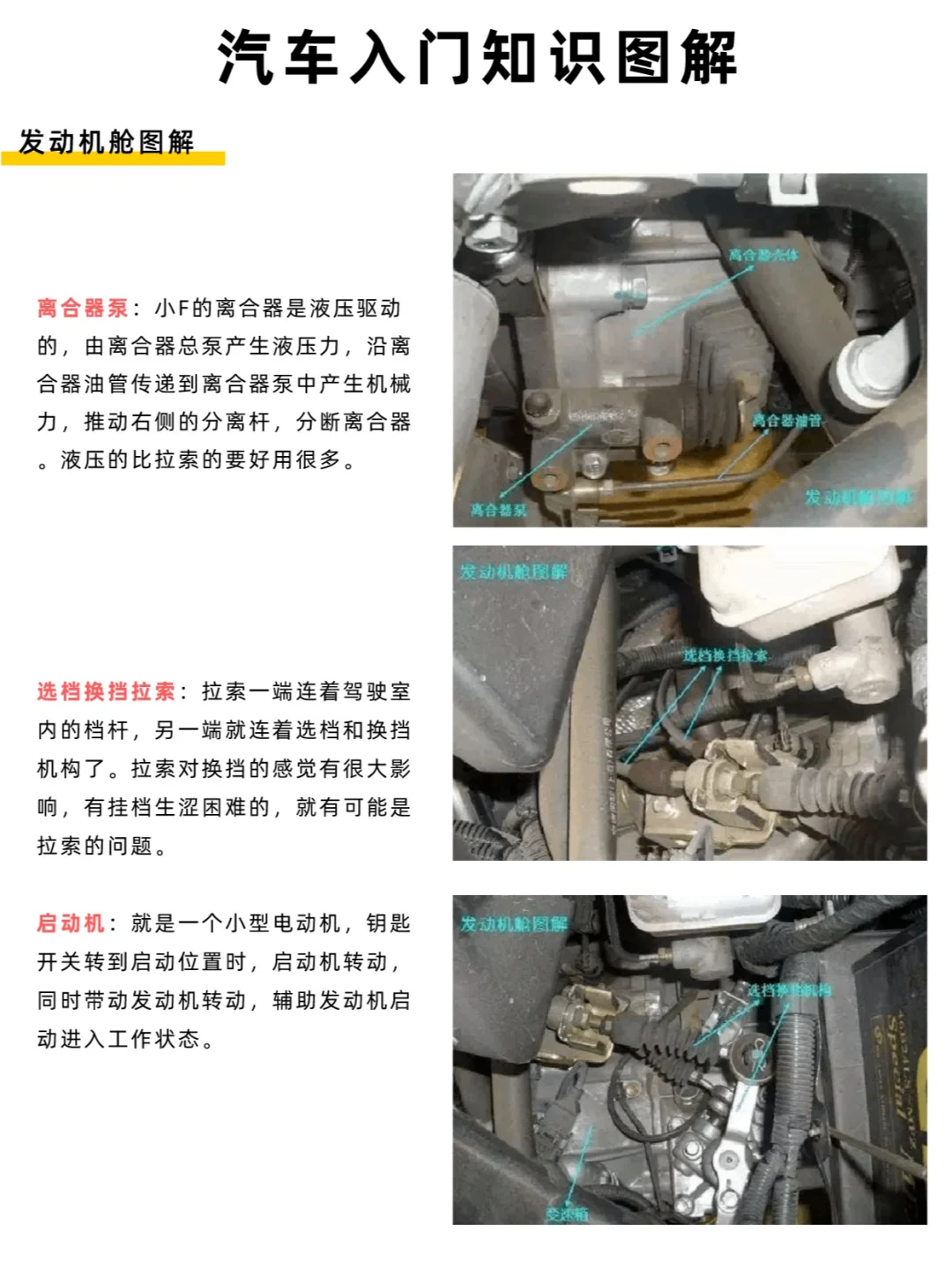 汽车入门知识-发动机舱图解