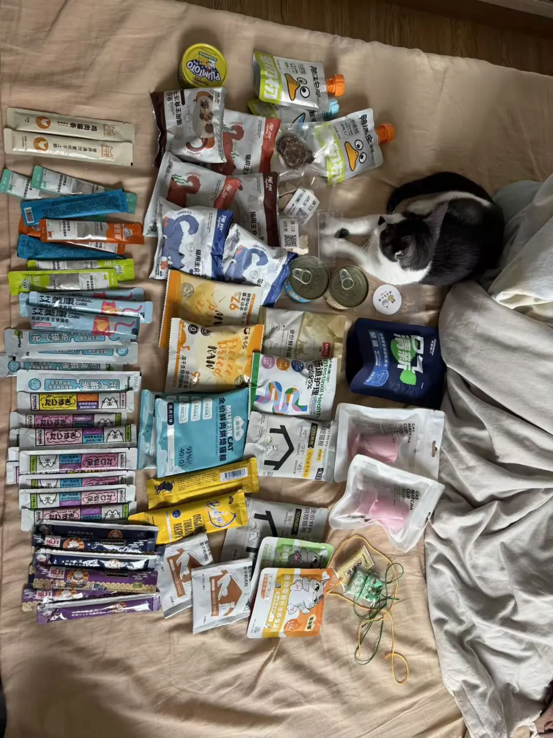 分享一下,参加了两场杭州的宠物博览会体验