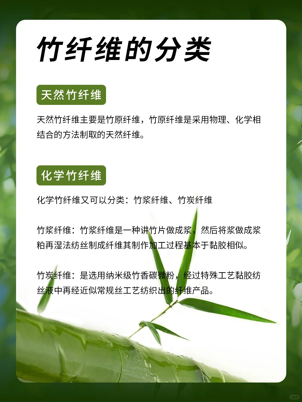 竹纤维知识分享小课堂开课啦!