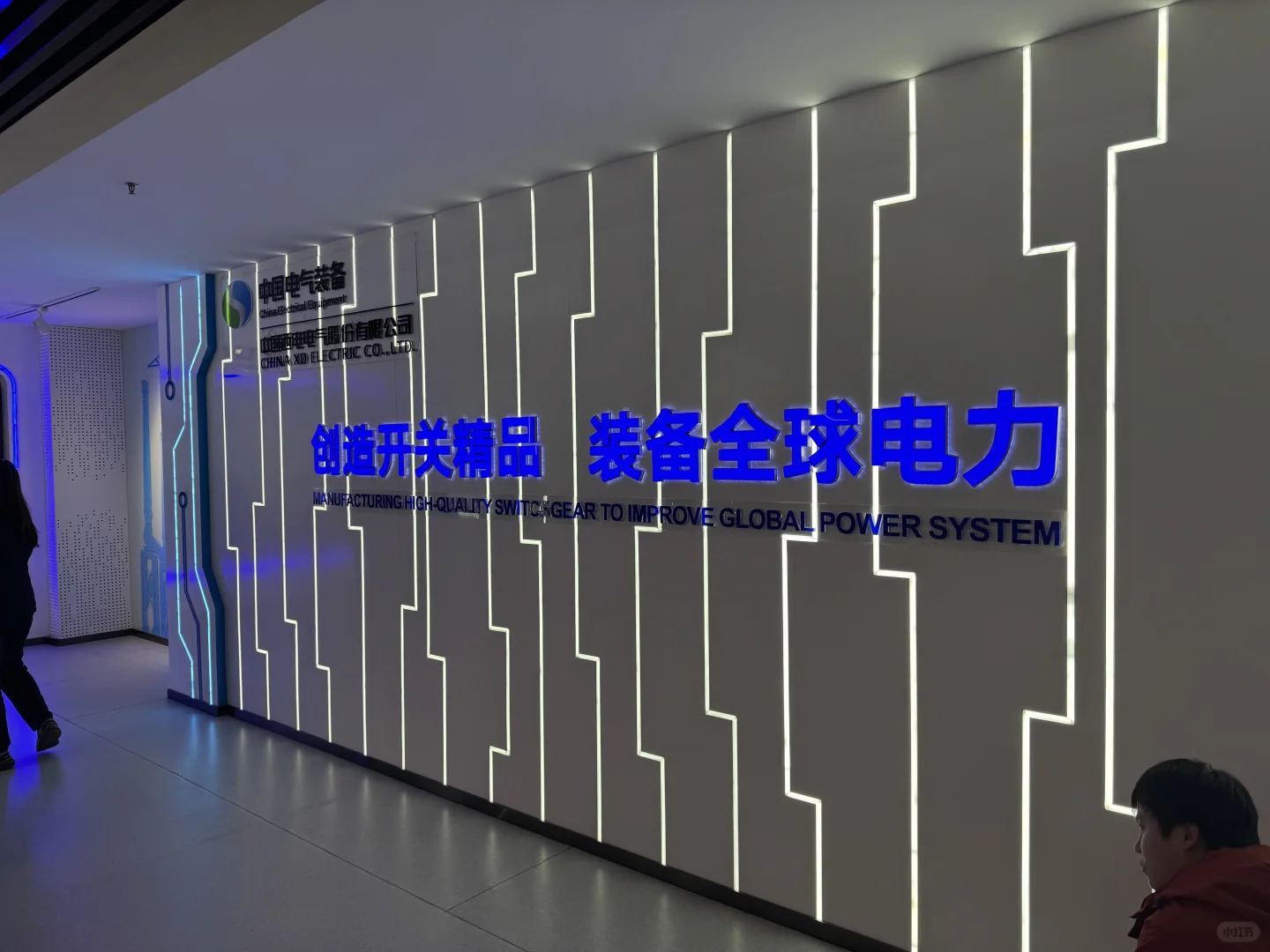 中国电气装备开关事业部了解一下