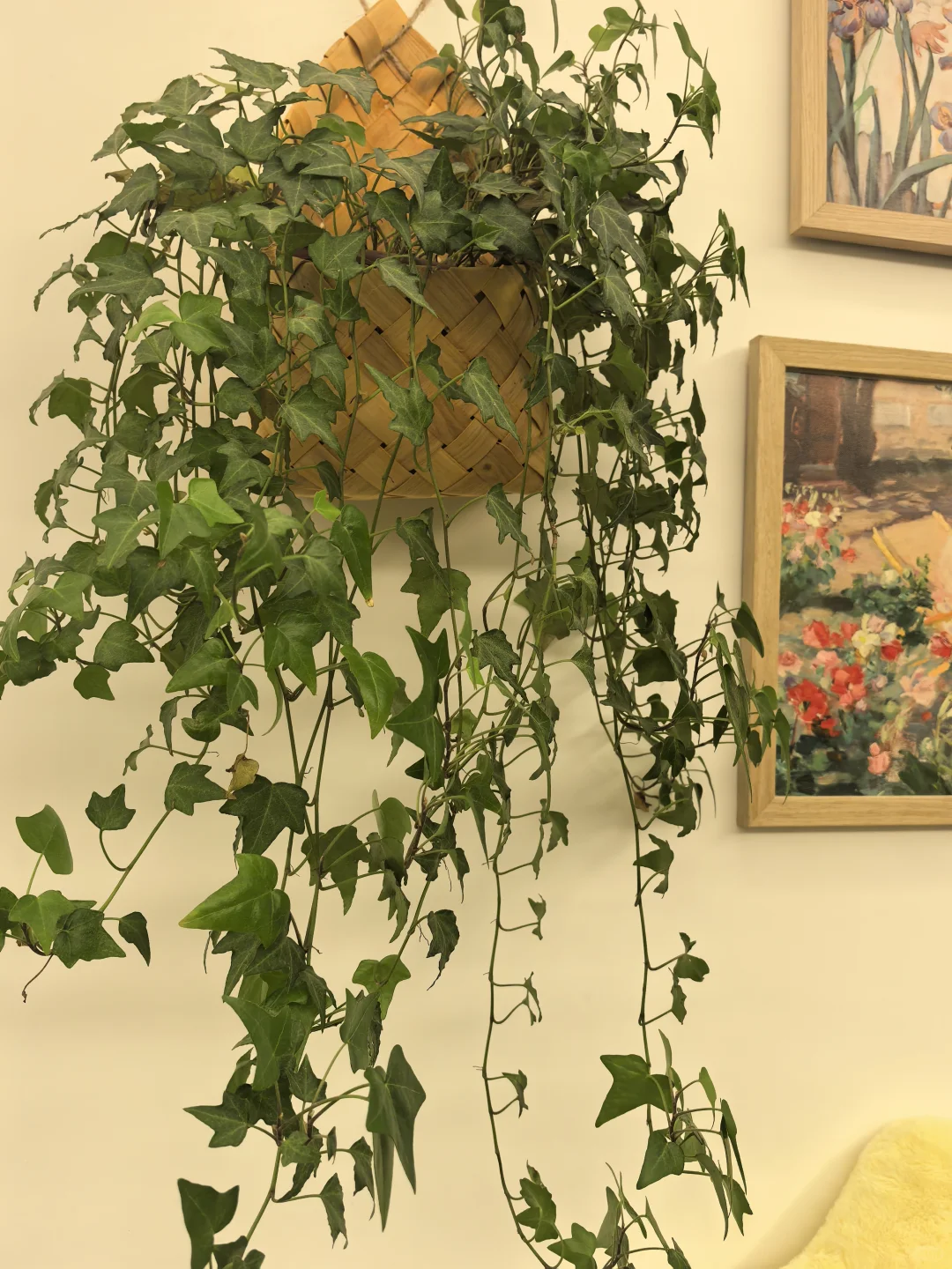 pdd 软装抠搜指南