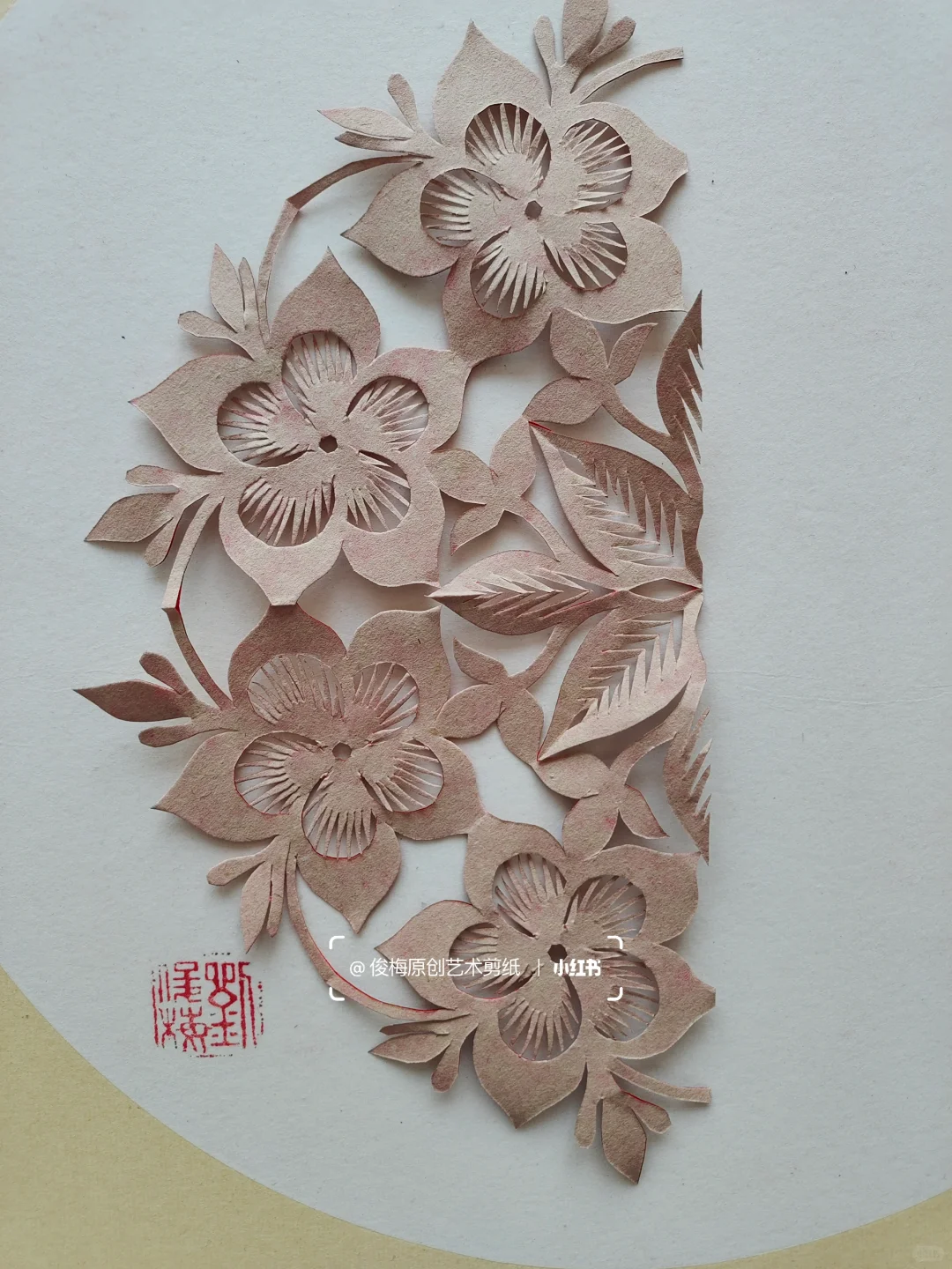 每日一剪｜万代兰