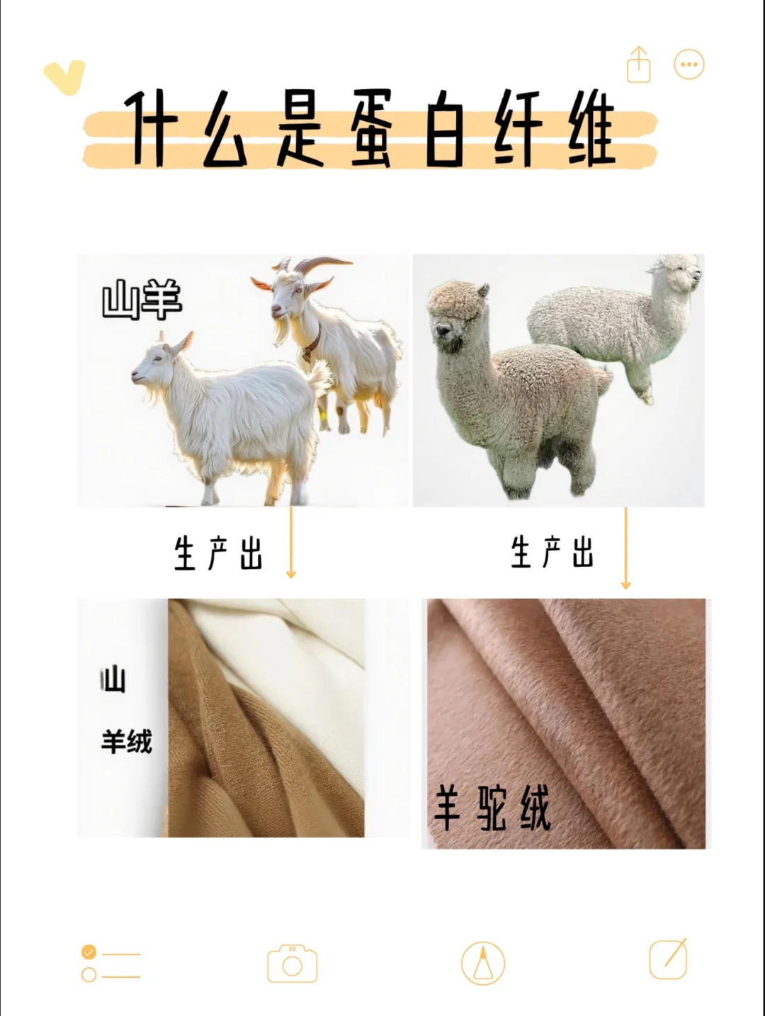 最直白的图文解析聚酯纤维！