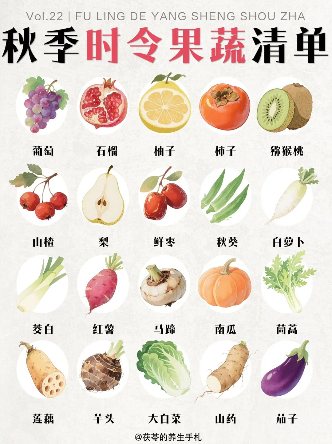 秋季时令果蔬清单?快给家人准备吧！