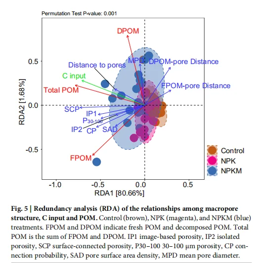 土壤孔隙如何扮演碳“加速器”与“稳定器”