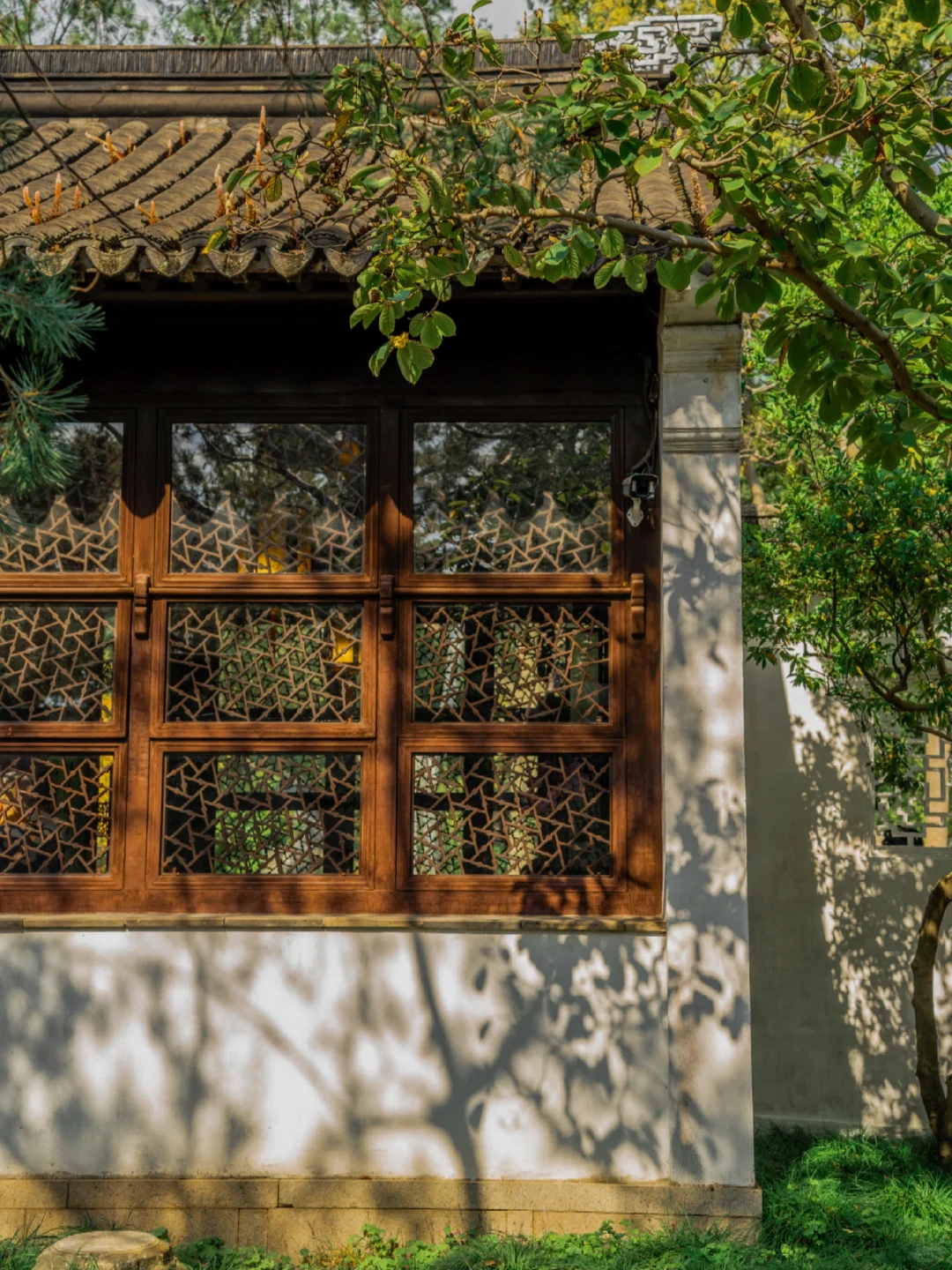 终于有人把拙政园的封神花窗整理出来了‼️