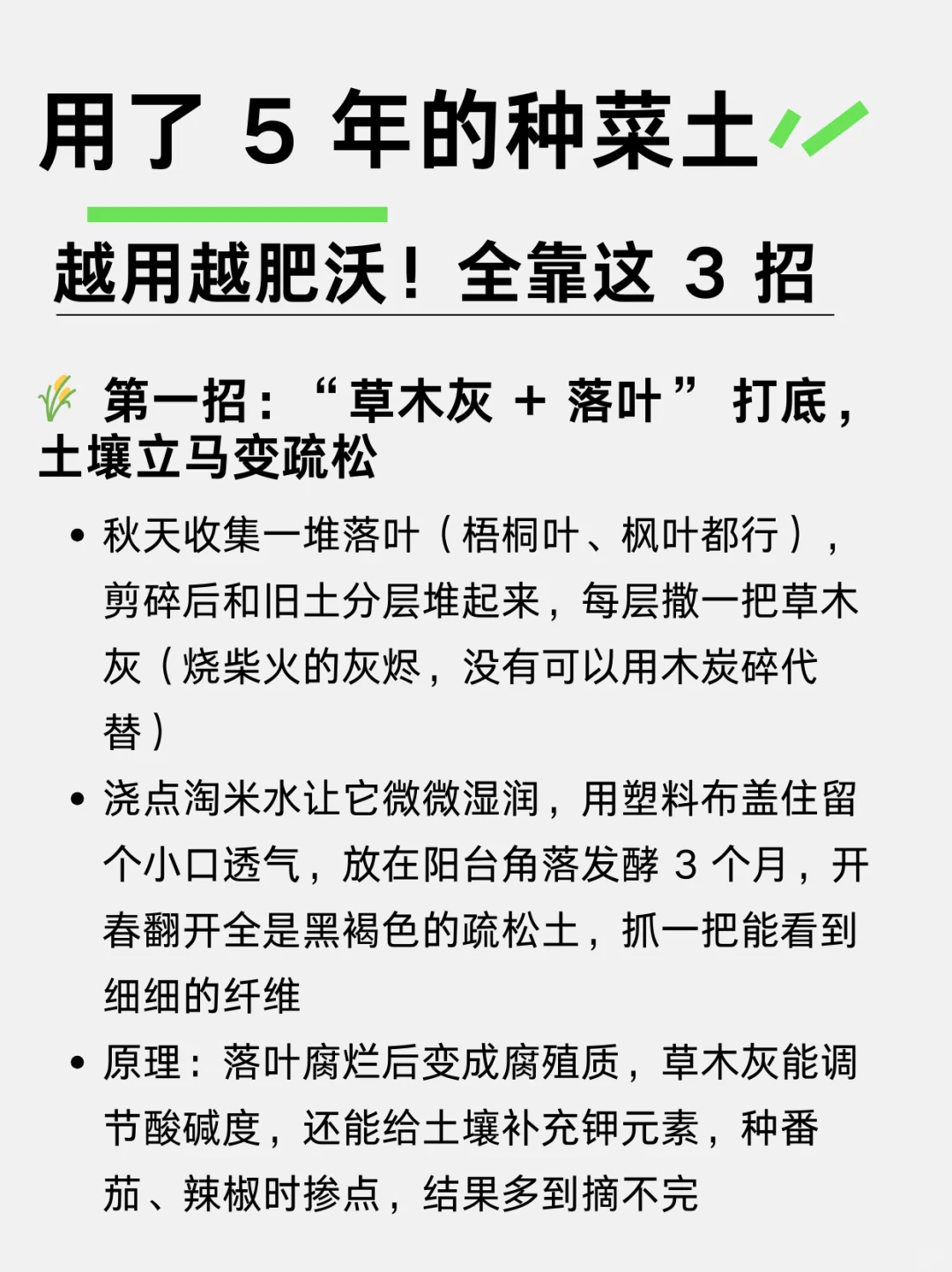 用了五年的种菜土,怎么越用越肥沃!