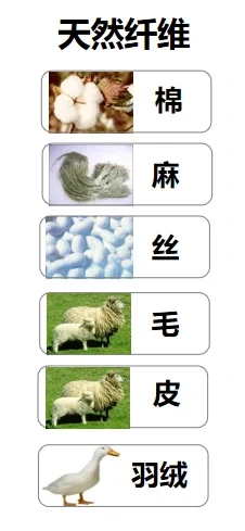 常见天然面料一览