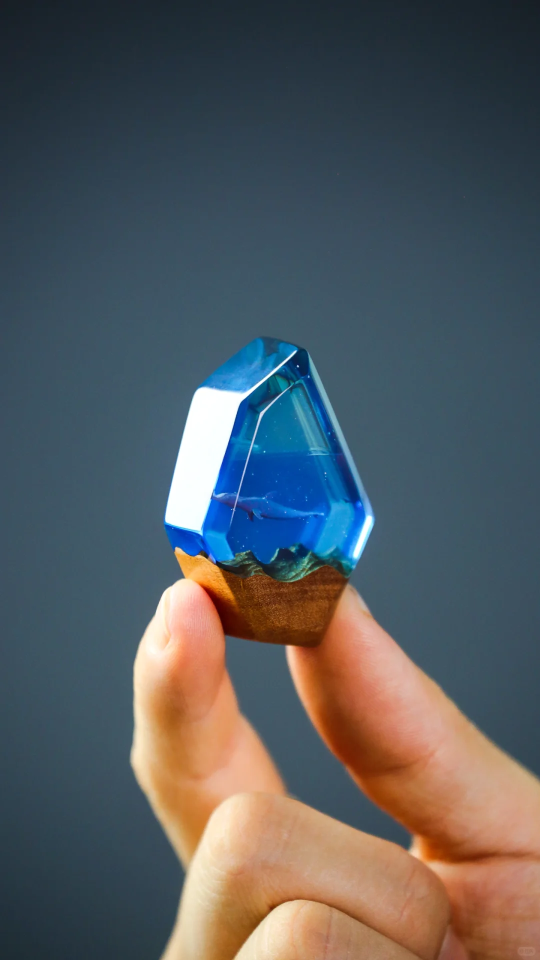 海洋之石封存一只海豚