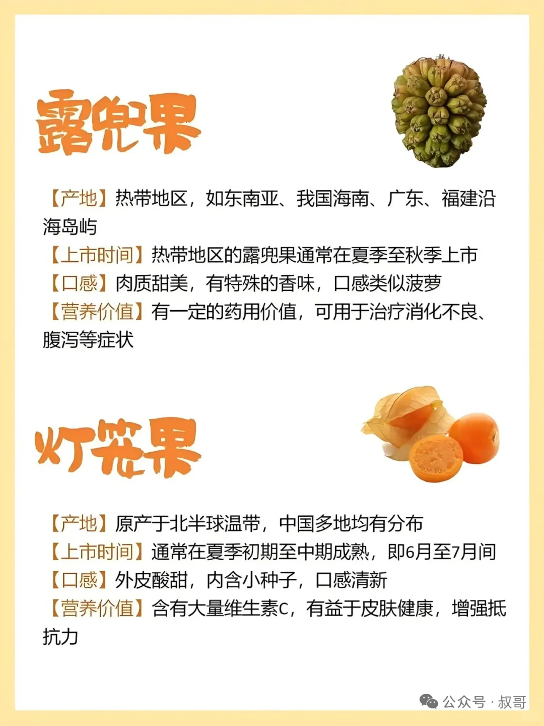 存在感不强的小众水果介绍~~