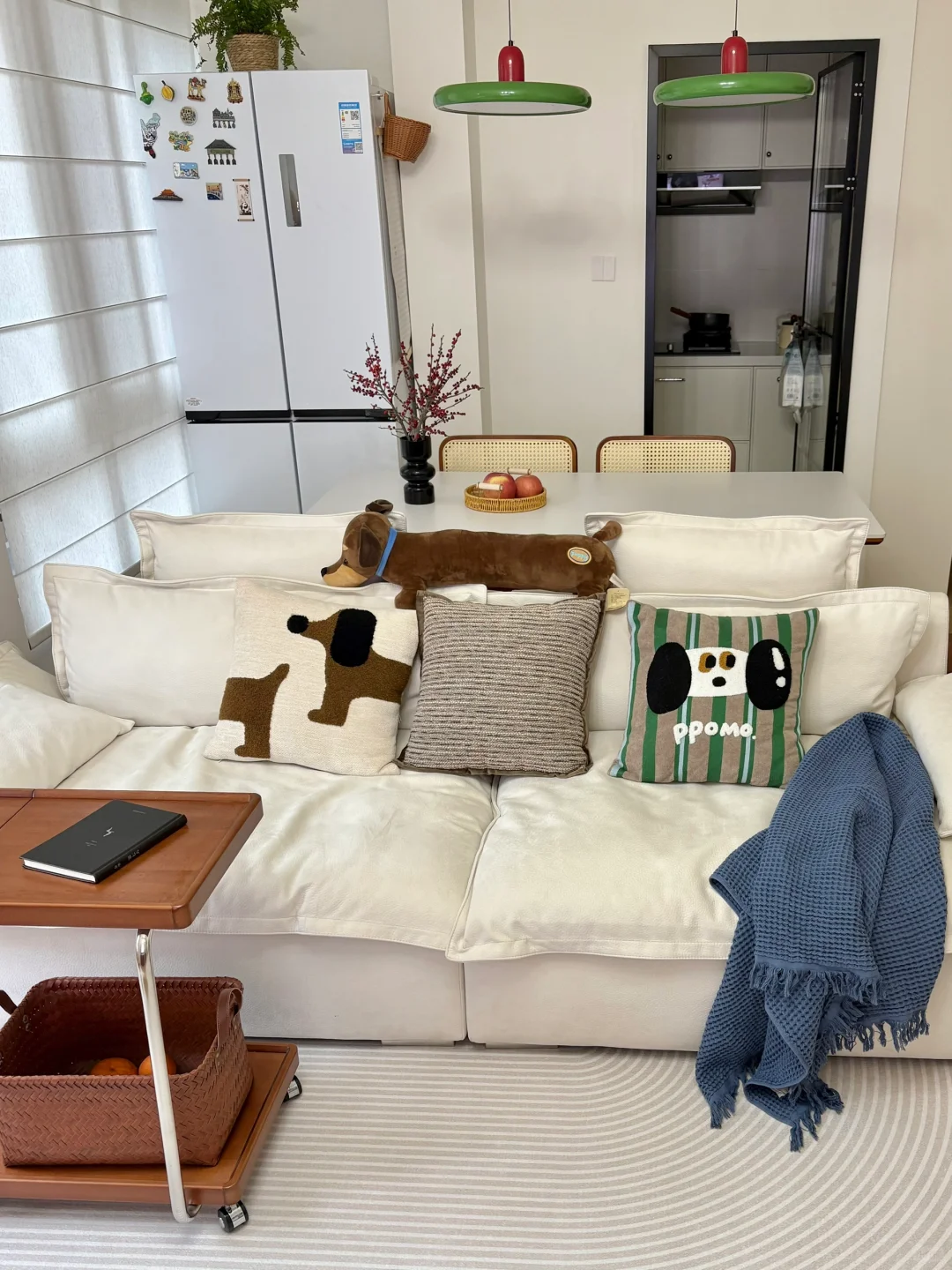 新家的100个快递（18/100）