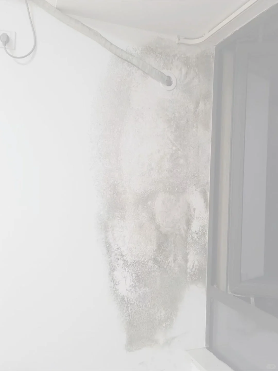 墙面问题总结之墙面发霉处理方法