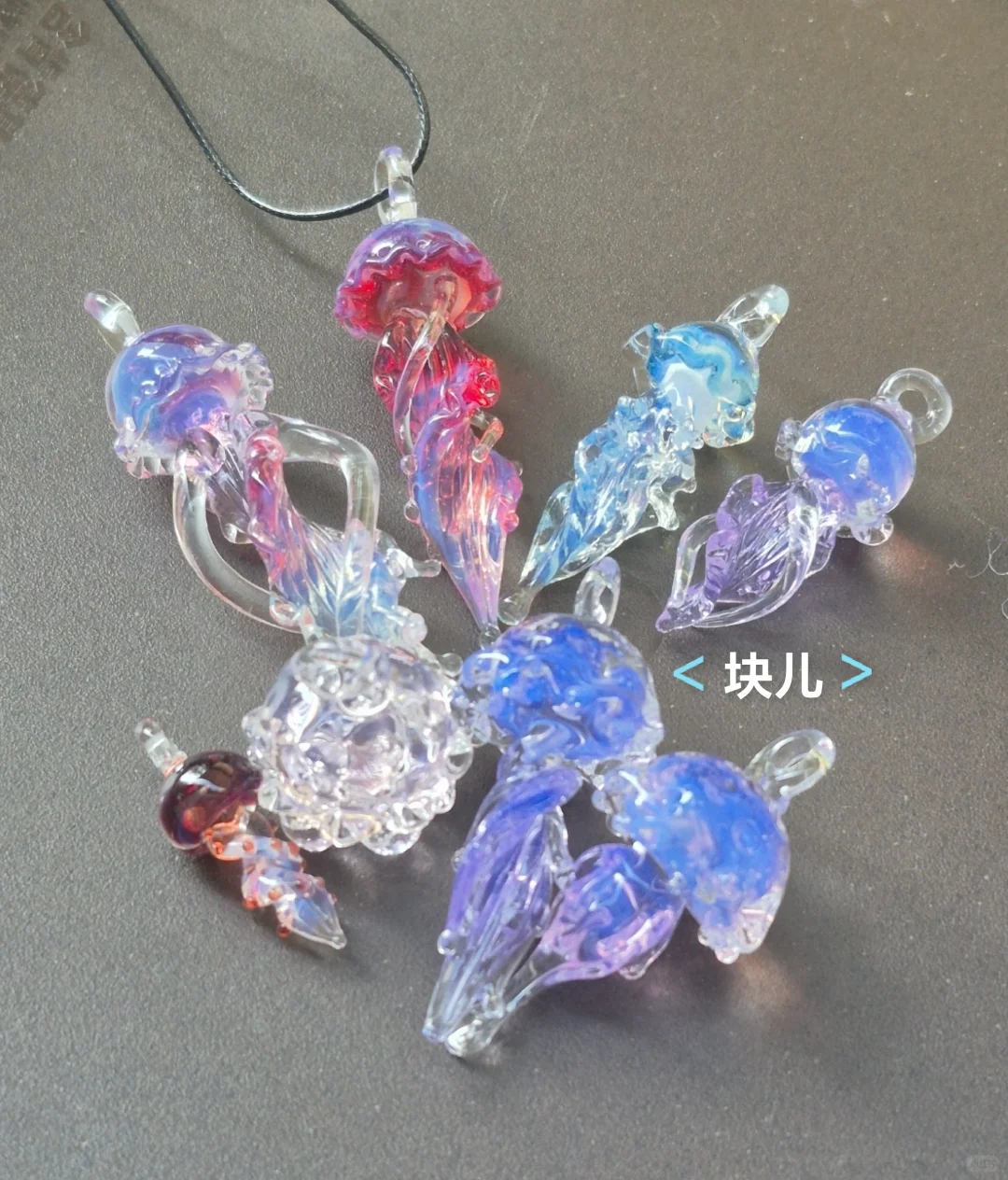 最近在直播间买的一些水母测评