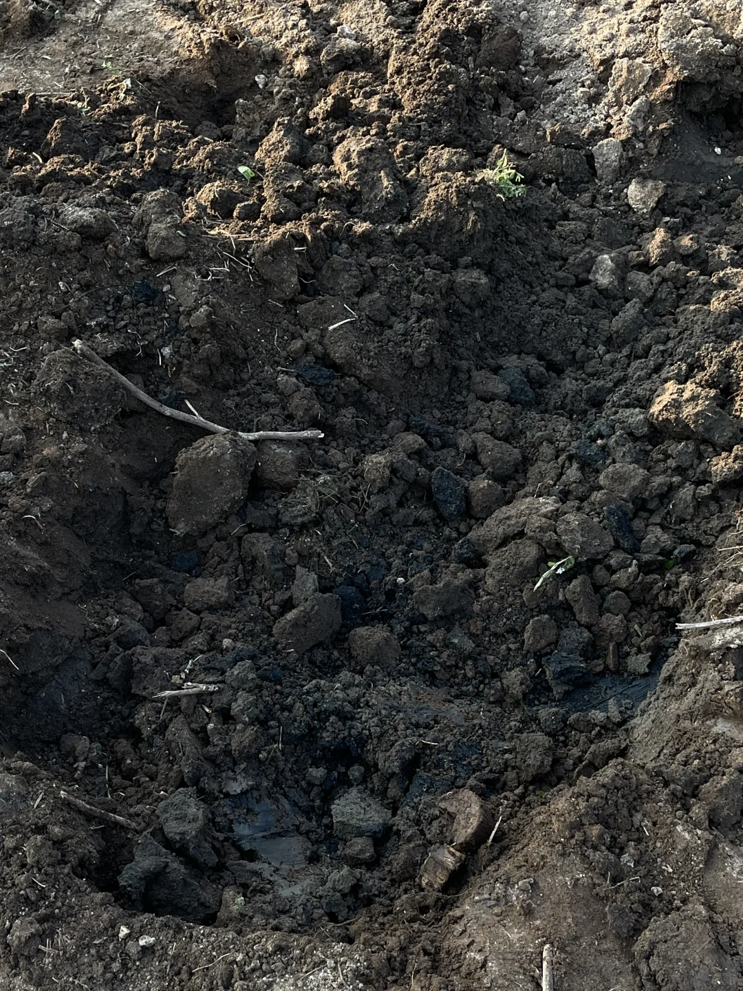 百分百甘蔗渣腐殖土