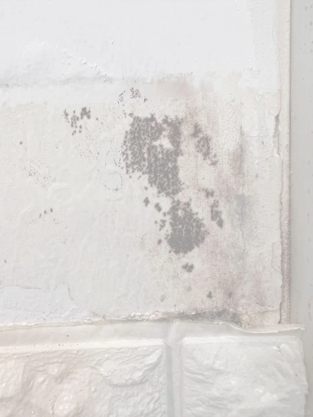 墙面问题总结之墙面发霉处理方法