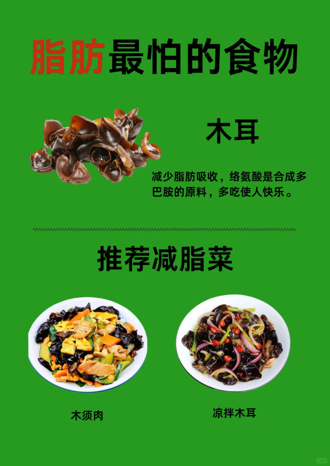 适合减脂期经常吃的食物??