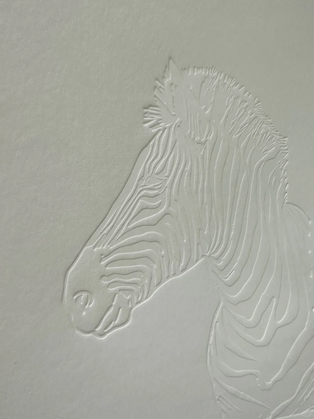 特种纸做无色压凹工艺,肌理感爆棚,质感突出