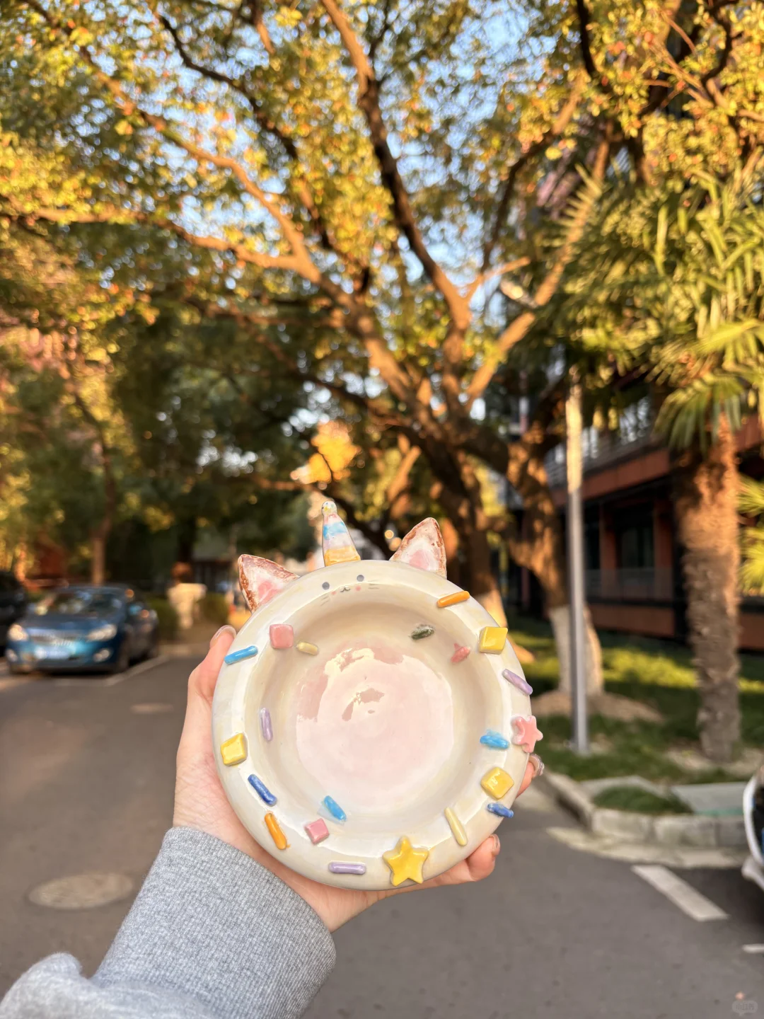 右滑帮我的小猫甜甜圈出炉！！！??