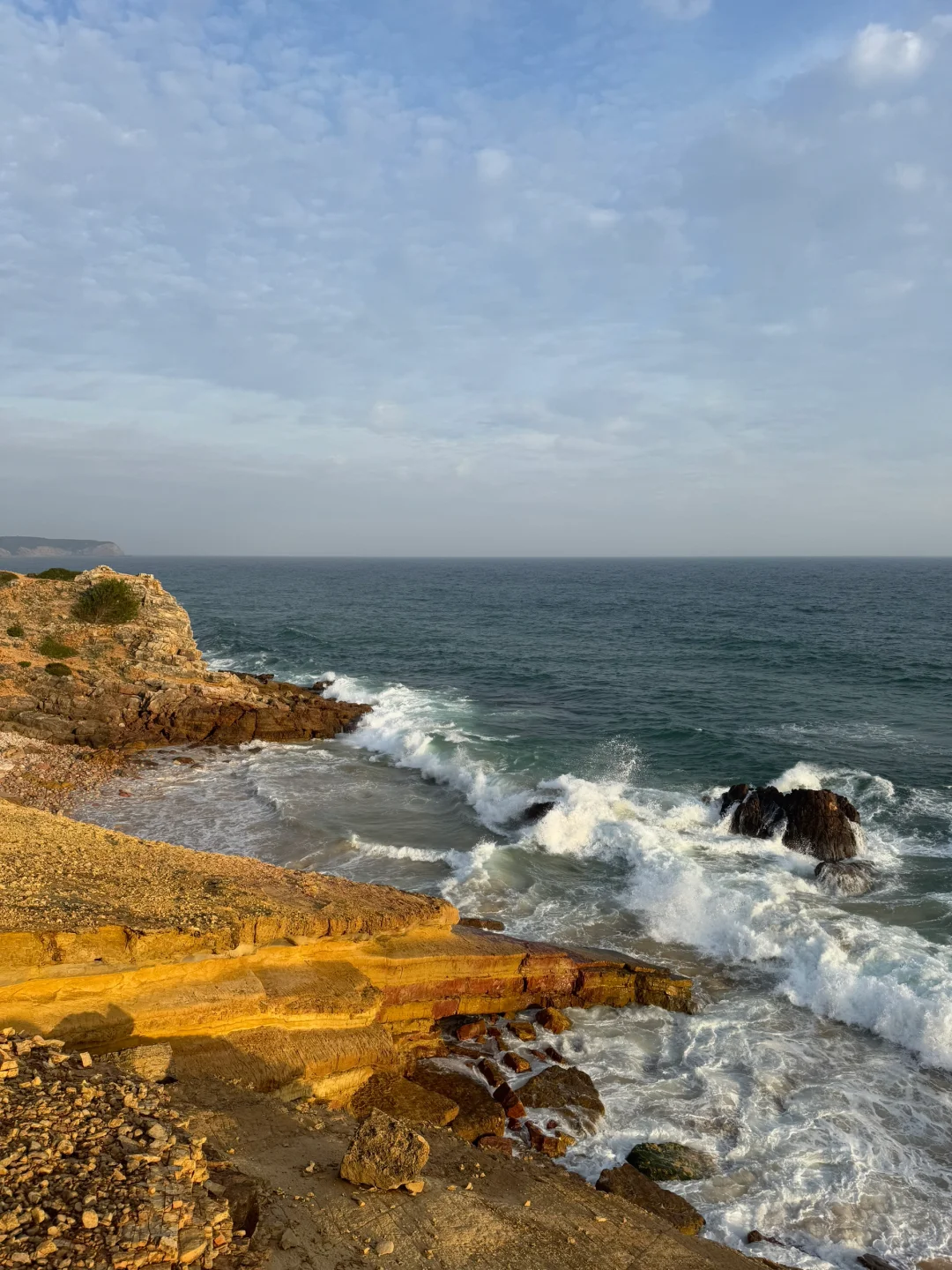 新的面料出来喽持续更新ing