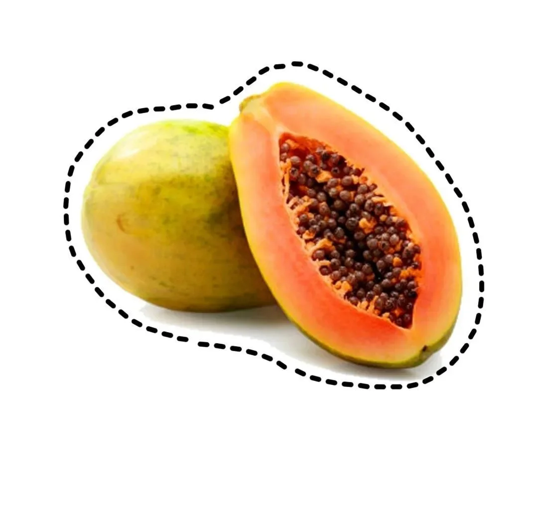 水果认知图片玩具｜可打印 手工剪纸素材