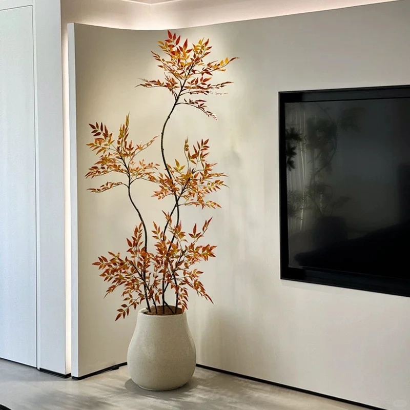 分享四款新家不会出错的装饰绿植