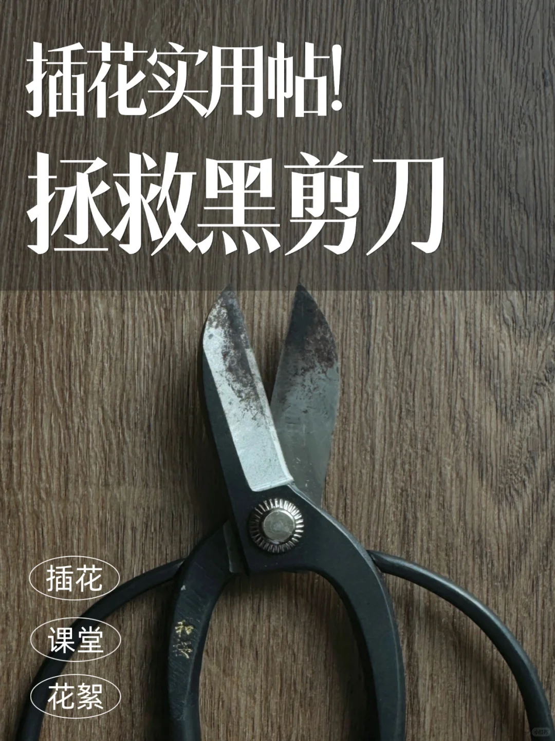 插花必备!拯救你的黑剪刀!