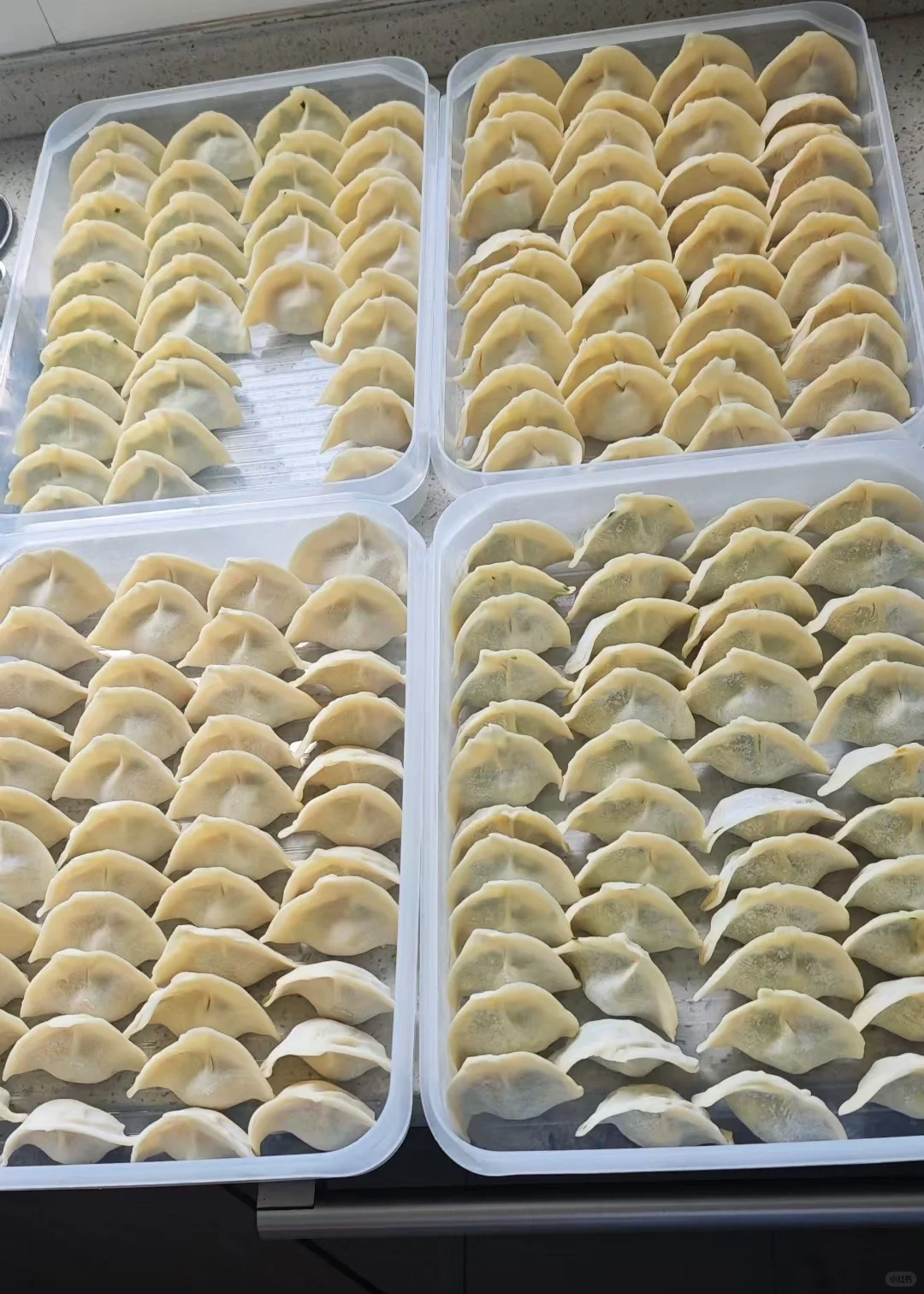 这个馅的饺子，吃不腻