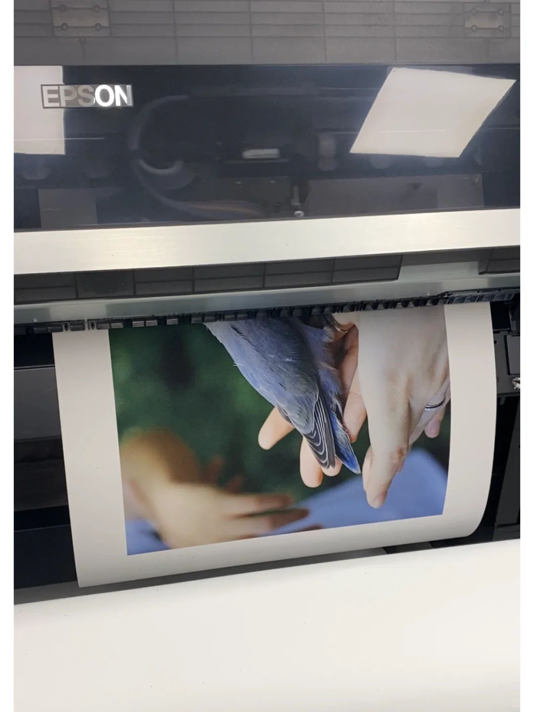 学校的喷墨印刷yyds